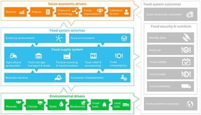 The transformative value chain: rethinking food system interventions